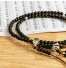 Dharma Classes