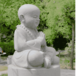 Dharma Courses & Meditation Practice