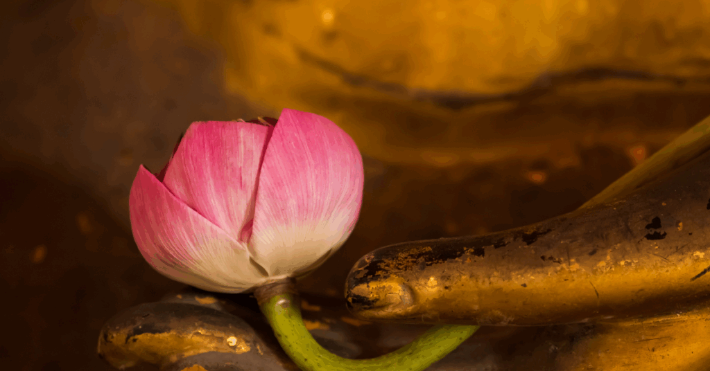 Eight Precepts_Buddhist Etiquette