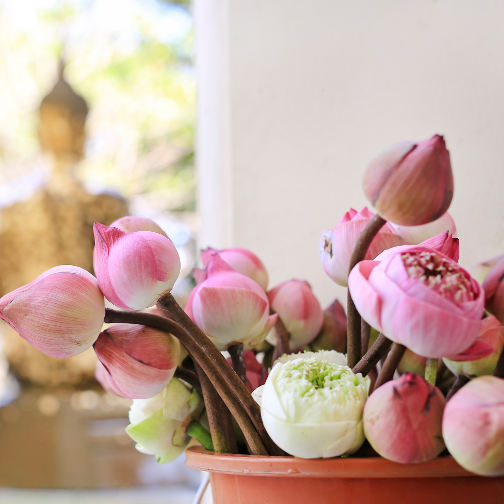 Merit-blessing-ceremony