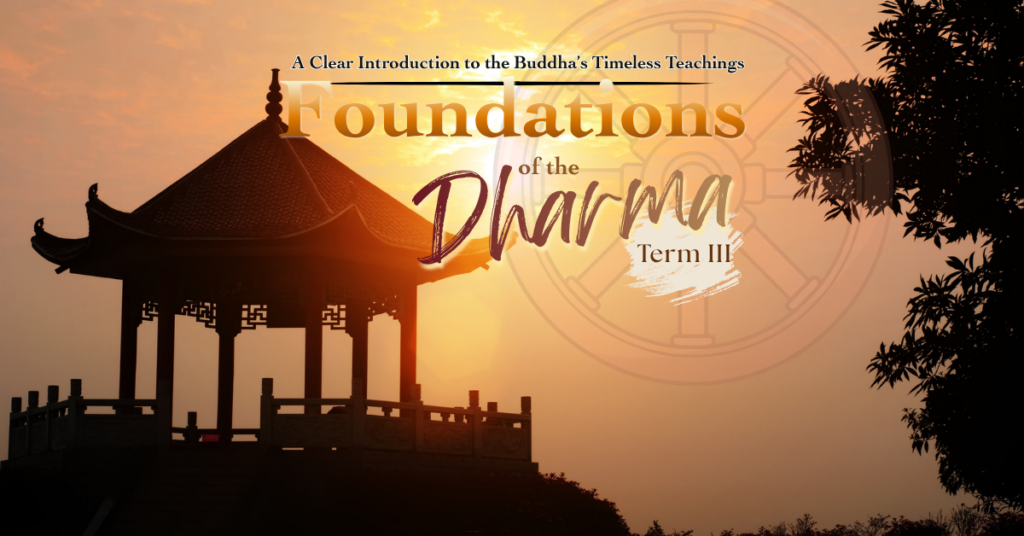 Foundations of the Dharma Term III